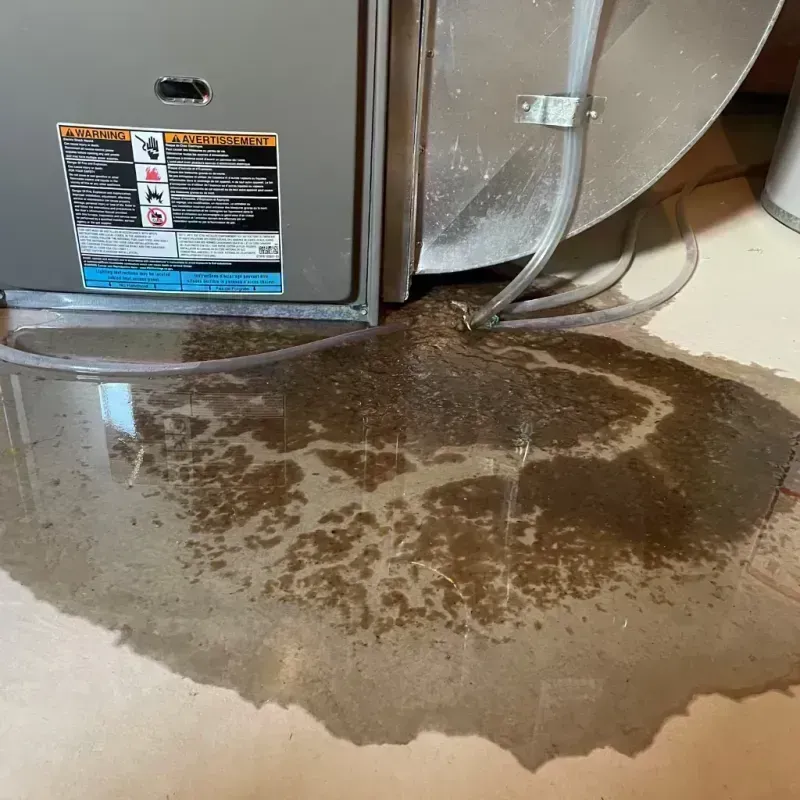 Appliance Leak Cleanup in Four Seasons, MO